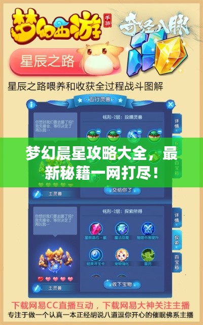 梦幻晨星攻略大全，最新秘籍一网打尽！