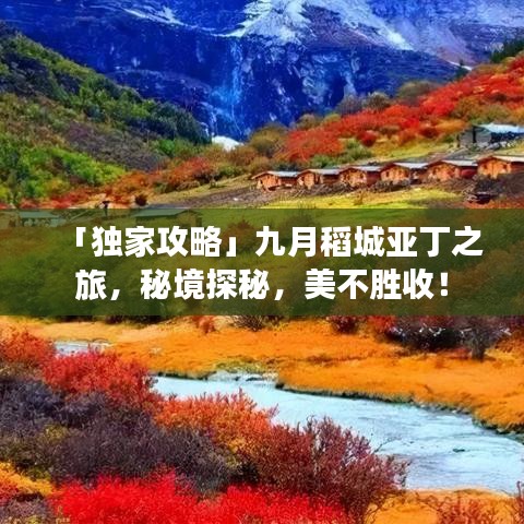 斗志昂扬 第2页