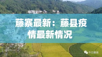 藤寨最新：藤县疫情最新情况 