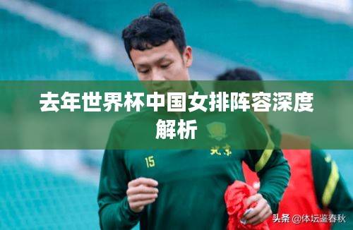 去年世界杯中国女排阵容深度解析