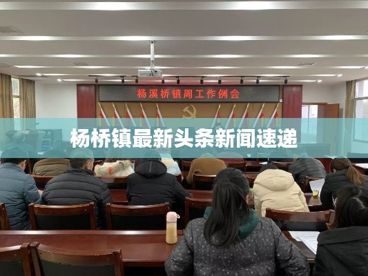杨桥镇最新头条新闻速递