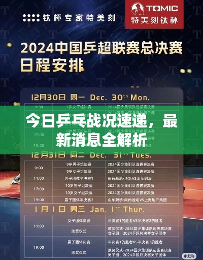 夯雀儿先飞 第2页