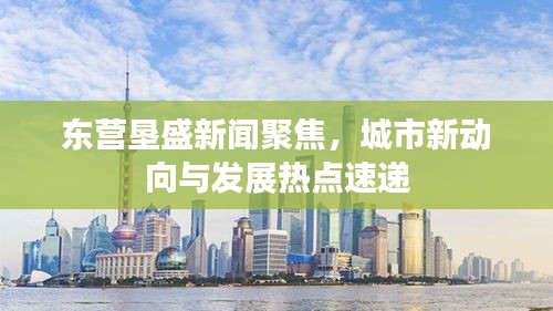 东营垦盛新闻聚焦，城市新动向与发展热点速递