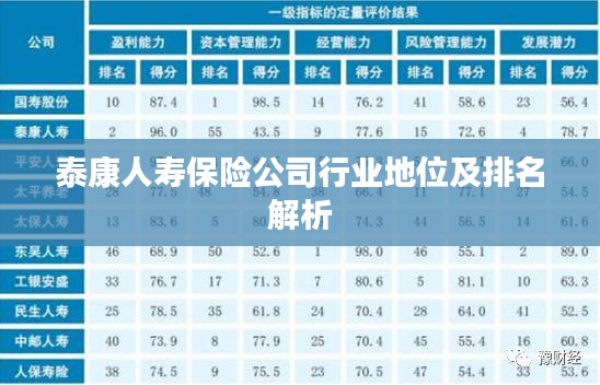 泰康人寿保险公司行业地位及排名解析