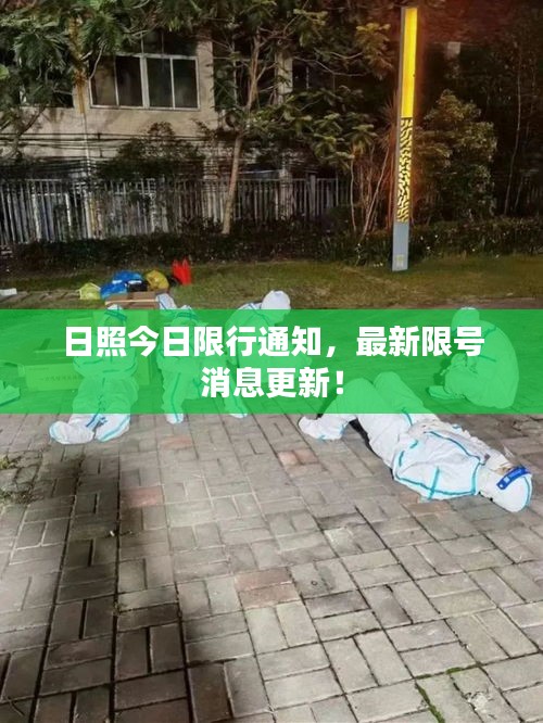 展翅高飞 第2页