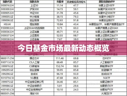 今日基金市场最新动态概览