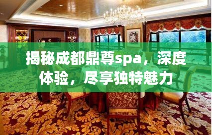 揭秘成都鼎尊spa，深度体验，尽享独特魅力