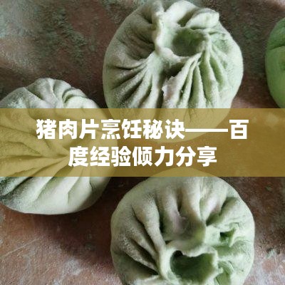 猪肉片烹饪秘诀——百度经验倾力分享