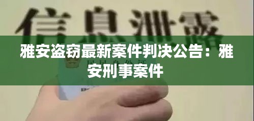 雅安盗窃最新案件判决公告：雅安刑事案件 