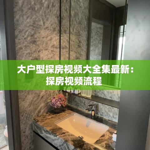 大户型探房视频大全集最新：探房视频流程 