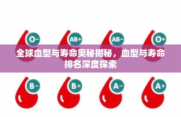 全球血型与寿命奥秘揭秘，血型与寿命排名深度探索