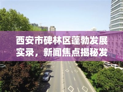 西安市碑林区蓬勃发展实录，新闻焦点揭秘发展之路