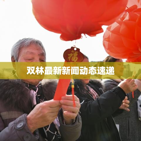 双林最新新闻动态速递