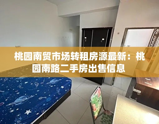 桃园南贸市场转租房源最新：桃园南路二手房出售信息 