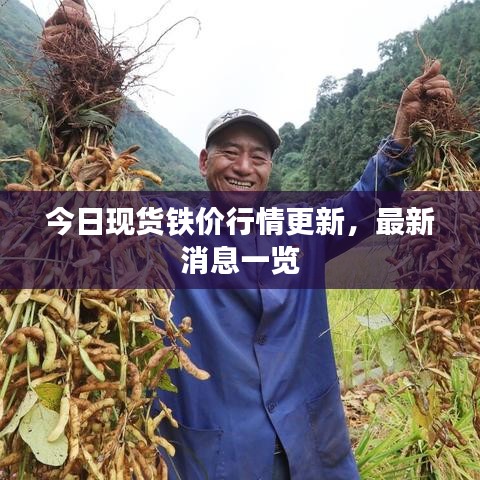 今日现货铁价行情更新，最新消息一览