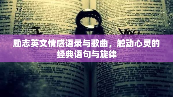 张皇失措 第2页