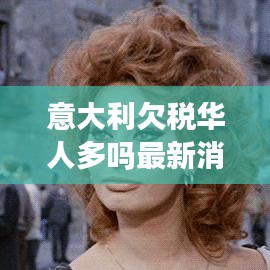 意大利欠税华人多吗最新消息：意大利 税 