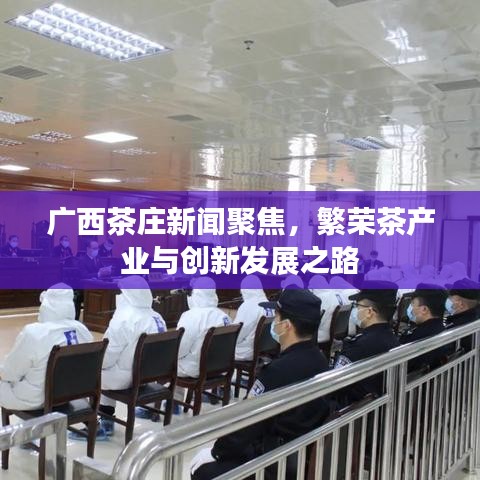 广西茶庄新闻聚焦，繁荣茶产业与创新发展之路