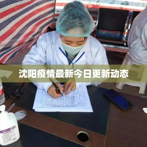 沈阳疫情最新今日更新动态