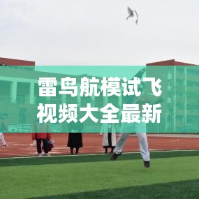 雷鸟航模试飞视频大全最新：雷鸟是什么飞机 
