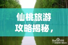 仙桃旅游攻略揭秘，浙江之旅的必游之地