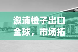 溆浦橙子出口全球，市场拓展最新动态