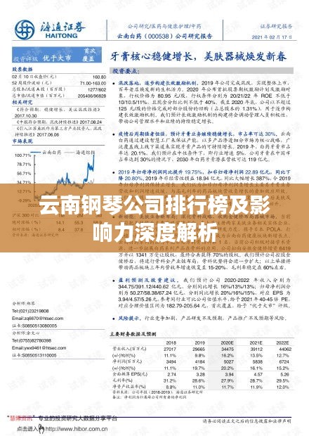 云南钢琴公司排行榜及影响力深度解析