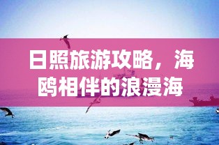 日照旅游攻略，海鸥相伴的浪漫海滨之旅