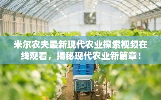 米尔农夫最新现代农业探索视频在线观看，揭秘现代农业新篇章！