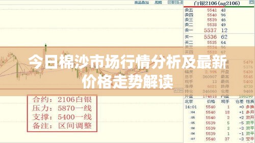 今日棉沙市场行情分析及最新价格走势解读