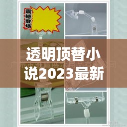 透明顶替小说2023最新章节：透明顶棚效果图 