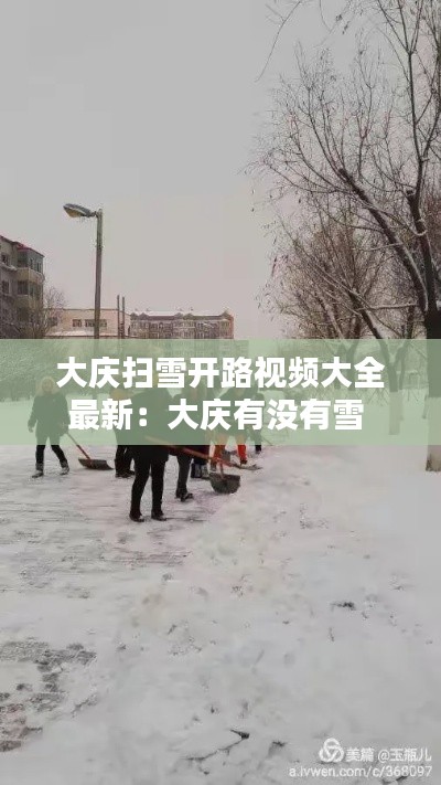 大庆扫雪开路视频大全最新：大庆有没有雪 