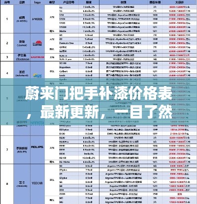 蔚来门把手补漆价格表，最新更新，一目了然！