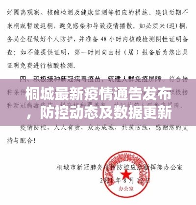桐城最新疫情通告发布，防控动态及数据更新