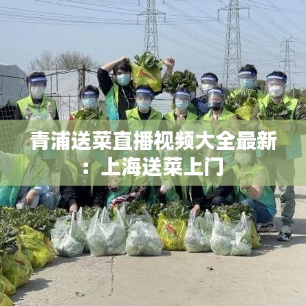 青浦送菜直播视频大全最新：上海送菜上门 