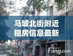 马坡北街附近租房信息最新：马坡巷属于哪个街道 