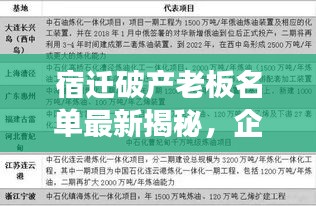 宿迁破产老板名单最新揭秘，企业失败的深层原因浮出水面