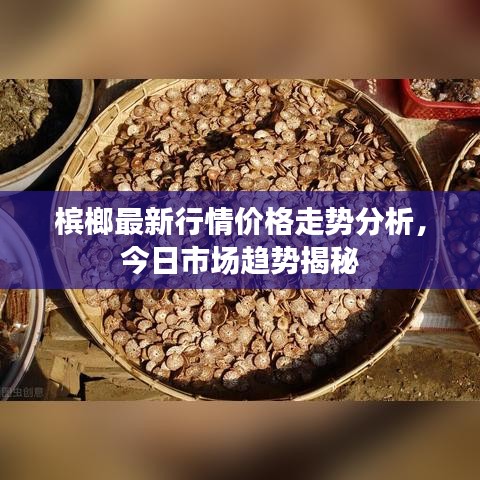 槟榔最新行情价格走势分析，今日市场趋势揭秘