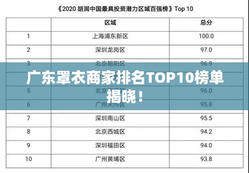 广东罩衣商家排名TOP10榜单揭晓！