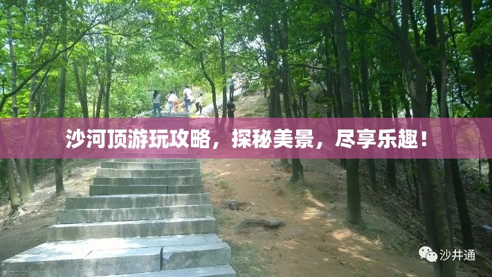 沙河顶游玩攻略，探秘美景，尽享乐趣！