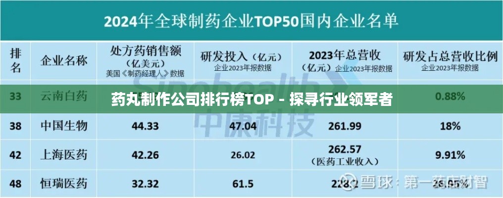 药丸制作公司排行榜TOP - 探寻行业领军者
