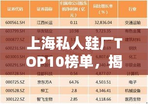 上海私人鞋厂TOP10榜单，揭秘最受瞩目的十大鞋厂排名！