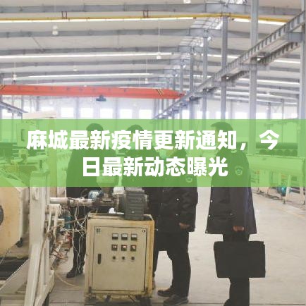 麻城最新疫情更新通知，今日最新动态曝光