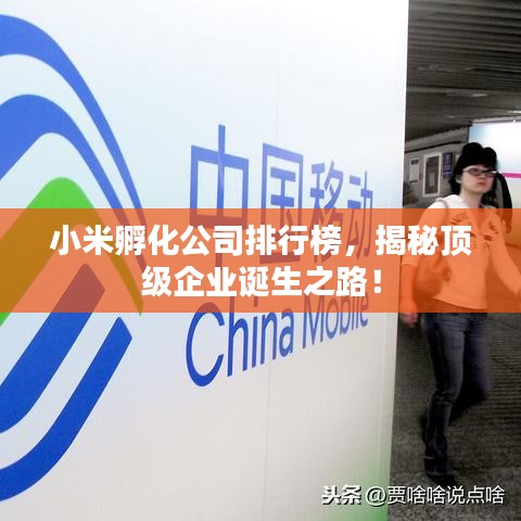 小米孵化公司排行榜，揭秘顶级企业诞生之路！