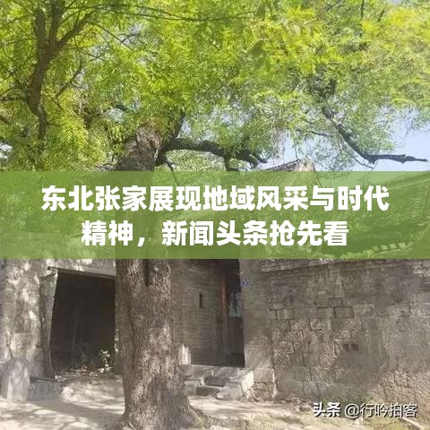 东北张家展现地域风采与时代精神，新闻头条抢先看