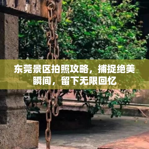 东莞景区拍照攻略，捕捉绝美瞬间，留下无限回忆