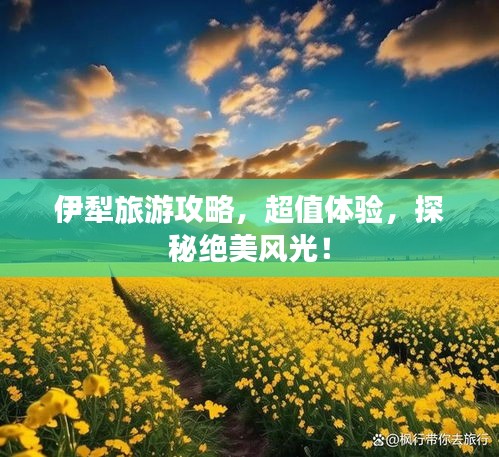 伊犁旅游攻略，超值体验，探秘绝美风光！