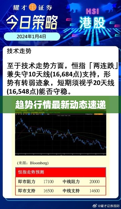 趋势行情最新动态速递