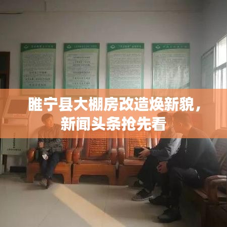 睢宁县大棚房改造焕新貌，新闻头条抢先看