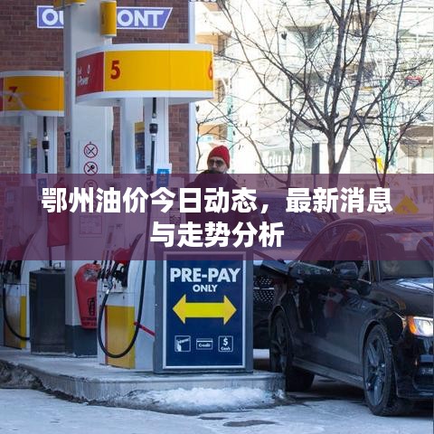 鄂州油价今日动态，最新消息与走势分析